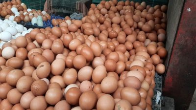 এক মাসের মধ্যে ডজনে দাম বেড়েছে ৩০-৪০ টাকা