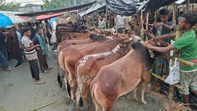 অনেক জায়গায় দুই খুঁটির দূরত্ব এক হাতেরও কম
