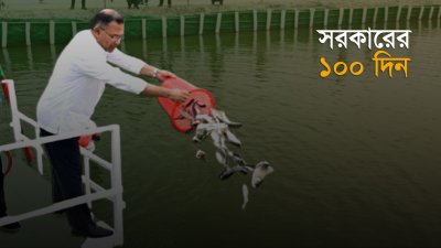 বাংলা ট্রিবিউন গ্রাফিক্স