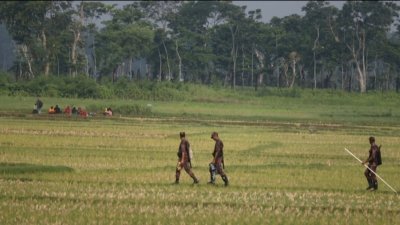 সীমান্তের শূন্যরেখায় আটকে থাকা ১০ জন