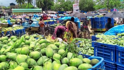 আম (ফাইল ছবি)