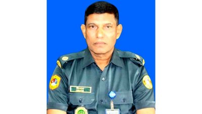 দিদারুল আলম