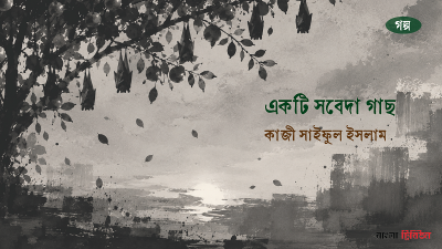 একটি সবেদা গাছ