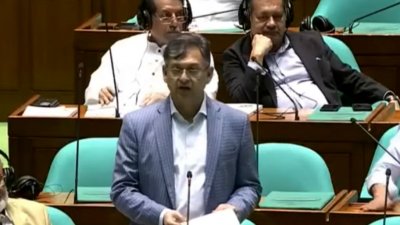 সংসদে স্বরাষ্ট্রমন্ত্রী সালাহউদ্দিন আহমদ
