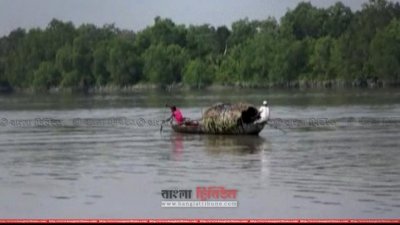 শ্যালা নদী