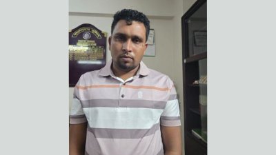 আলী হোসেন