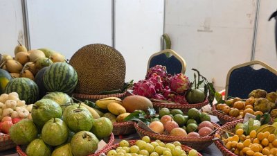 রাজধানীর বেইলি রোডে পাহাড়ি ফলের মেলা বসেছে