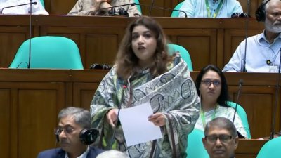 সংসদে পররাষ্ট্র প্রতিমন্ত্রী