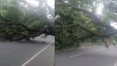 ঢাকা-চট্টগ্রাম মহাসড়কের সীতাকুণ্ডের ছোট দারোগার হাট এবং বারবকুণ্ড এলাকায় গাছ ফেলে সড়ক অবরোধ করে বিক্ষোভ করেছেন অনুসারীরা