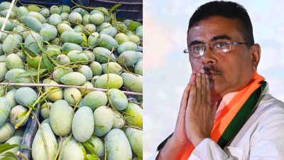 বাংলাদেশ সরকারের পক্ষ থেকে পশ্চিমবঙ্গের মুখ্যমন্ত্রী শুভেন্দু অধিকারীর কাছে শুভেচ্ছা উপহার হিসেবে ৫০০ কেজি আম পাঠিয়েছে বাংলাদেশ সরকার