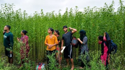 কুষ্টিয়া সীমান্তে ৮ জনকে পুশইনের চেষ্টা করা হয়
