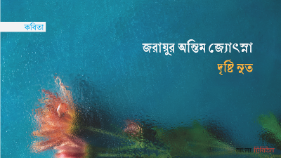 জরায়ুর অন্তিম জ্যোৎস্না