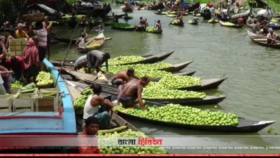ঝালকাঠির ভিমরুলির ভাসমান পেয়ারা বাজার (ফাইল ছবি)।