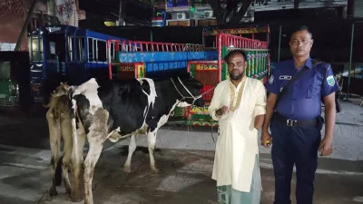 গরুসহ আটক যুবদল কর্মী
