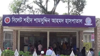শহীদ ডা. শামসুদ্দিন আহমদ হাসপাতাল