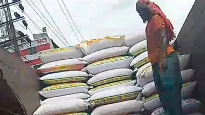 পাখির খাবারের দোকানে বিক্রি হওয়া সরকারি গম