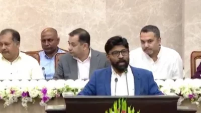 কথা বলছেন প্রধানমন্ত্রীর প্রেস সচিব সালেহ শিবলী