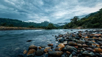 পূর্ব হিমালয়ের পাদদেশ ডুয়ার্স (সংগৃহীত)।