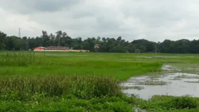 বিলোনিয়া সীমান্ত এলাকা
