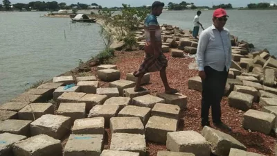 নেত্রকোনার মোহনগঞ্জ উপজেলার ডিঙ্গাপোতা হাওরের চরহাইজদা ফসল রক্ষা বাঁধ থেকে লুট করে নেওয়া হয়েছে ২ হাজার ২৫০টি ব্লক