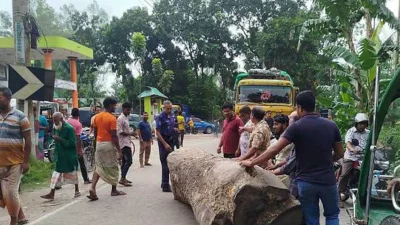 লালমনিরহাট সদর উপজেলায় সার না পেয়ে ও ডিলারদের অনিয়ম বন্ধের দাবিতে মহাসড়কে গাছের গুঁড়ি ফেলে অবরোধ ও বিক্ষোভ করেছেন কৃষকেরা