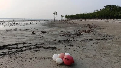জোয়ার-ভাটার টানে উপকূলের খাল-নদী পেরিয়ে প্লাস্টিক, পলিথিন, ককসিট, বোতল ও নানা ধরনের বর্জ্য জমছে সুন্দরবনে