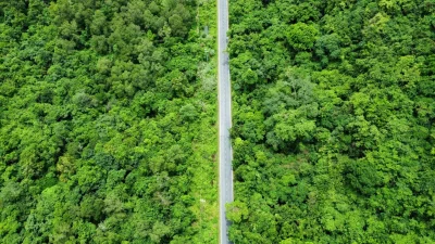 মৌলভীবাজারের কমলগঞ্জে অবস্থিত লাউয়াছড়া জাতীয় উদ্যান (ছবি: পিক্সেল)