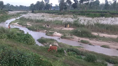 শরতের সাদা মেঘ যেন নেমে এসেছে পাহাড়ি ছড়ার কোলে। সবুজ ঘাসের ফাঁকে ফাঁকে ফুটে থাকা কাশফুলে নতুন রূপে সেজেছে চায়ের রাজধানী মৌলভীবাজারের শ্রীমঙ্গল