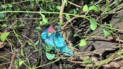 রাজধানীর দুই স্থান থেকে ককটেল-পেট্রোল বোমা উদ্ধার করা হয়েছে