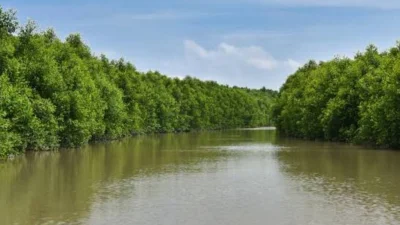 অপূর্ব প্রাকৃতিক স্থান চর কুকরি-মুকরি (ছবি: পিক্সেল)