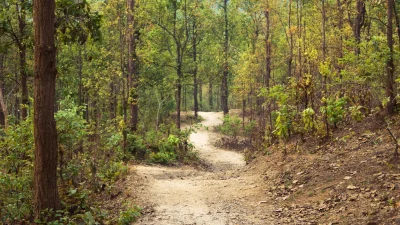 ভাওয়াল জাতীয় উদ্যান (ছবি: সংগৃহীত)