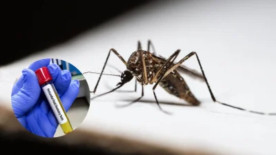 ছবি: বাংলা ট্রিবিউন কোলাজ