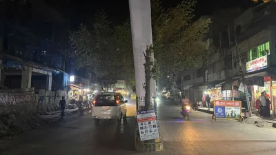 তোরণের সৌন্দর্য রক্ষায় কেটে ফেলা হয় বকুলগাছের ডালপালা