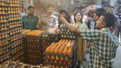 ডিএসসিসির অভিযান