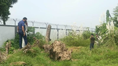 নরসিংদীর ঘোড়াশাল পলাশ ফার্টিলাইজার পিএলসি সার কারখানা থেকে হাত-পা ও বিশেষ অঙ্গ বিচ্ছিন্ন অবস্থায় অজ্ঞাতনামা এক ব্যক্তির মরদেহ উদ্ধার করেছে পুলিশ