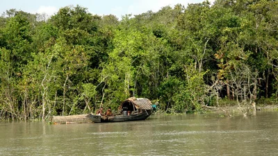 সুন্দরবন (ছবি: সংগৃহীত)