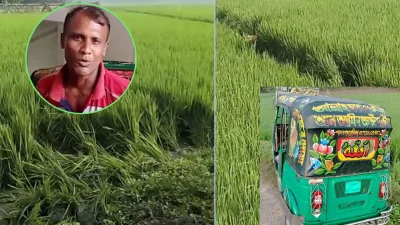 কুমিল্লার লালমাইয়ে ধানক্ষেত থেকে স্কুলছাত্রীর (১৫) লাশ উদ্ধারের ঘটনার রহস্য উদঘাটনে তদন্ত শুরু করেছে পুলিশ