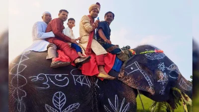 মা-বাবার শখ পূরণে হাতির পিঠে চড়ে বিয়ে করলেন সাকিব