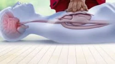 সিপিআর পদ্ধতি (প্রতীকী ছবি)