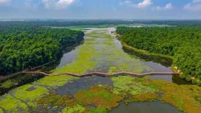 দিনাজপুরের নবাবগঞ্জ জাতীয় উদ্যান (ছবি: সংগৃহীত)