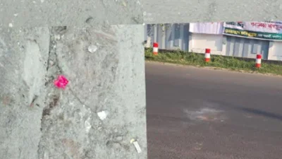 মাদারীপুরে জেলা জজের বাসভবনের সামনে ককটেল বিস্ফোরণ