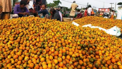 লক্ষ্মীপুরের উত্তর তেহমনী বাজারে সড়কের পাশে সারি সারি সুপারির স্তূপ। ছবি: সংগৃহীত