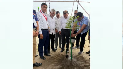 আমিনবাজারে সড়কের দুই পাশে সবুজায়ন কর্মসূচির উদ্বোধন করছেন প্রধানমন্ত্রী তারেক রহমান