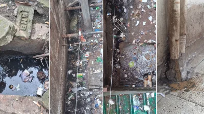 অপরিচ্ছন্ন পরিবেশে মশার প্রকোপ