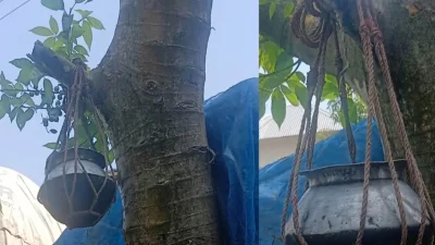 কেউ পেতেছেন পাতিল। কেউ ধরেছেন জগ। কেউবা আবার গ্লাস হাতে অপেক্ষায়