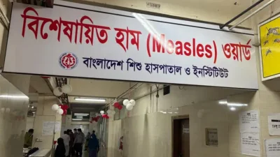 হাম ইউনিট