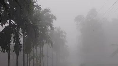 কুয়াশার চাদরে ঢাকা পঞ্চগড়।