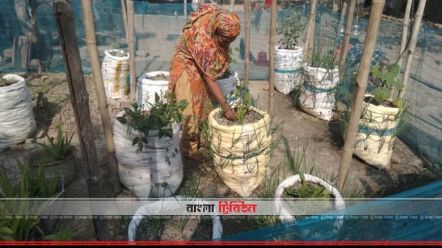 Sabzi onanizm sharhlari