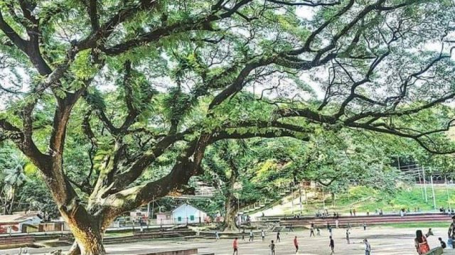 8a975fedcd5dfa90777e89b91259ed8d-60eee0219e2fd