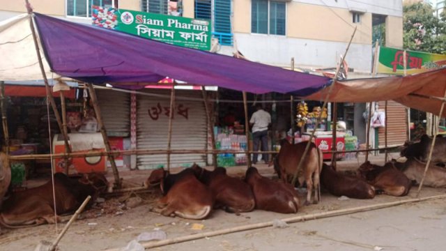 ব্যবসা প্রতিষ্ঠানের সামনে পশুর হাট